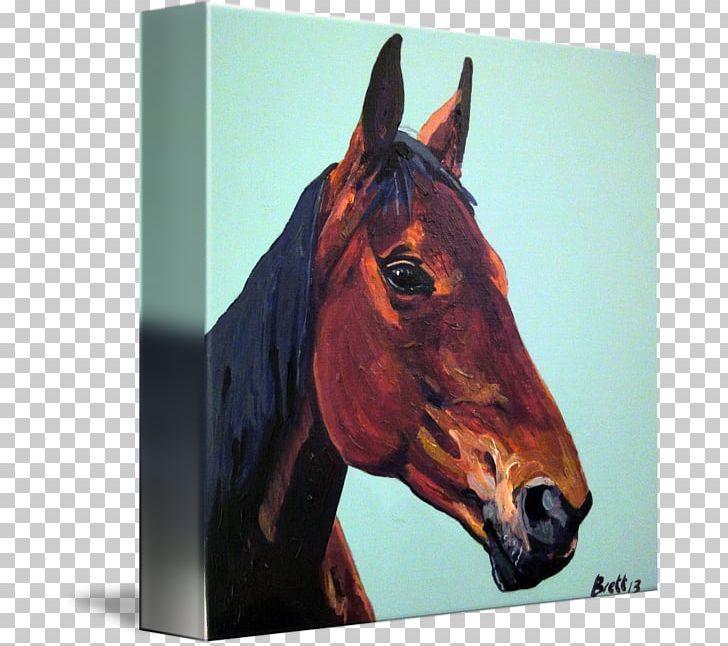 Mustang Halter Stallion Mare Bridle PNG, Clipart, 2019 Ford Mustang, Blurred Background, Bridle, Ford Mustang, Halter Free PNG Download