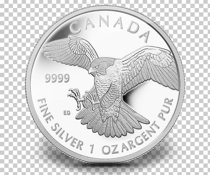 Silver Coin Peregrine Falcon PNG, Clipart, Bullion, Coin, Coining, Currency, Falcon Free PNG Download