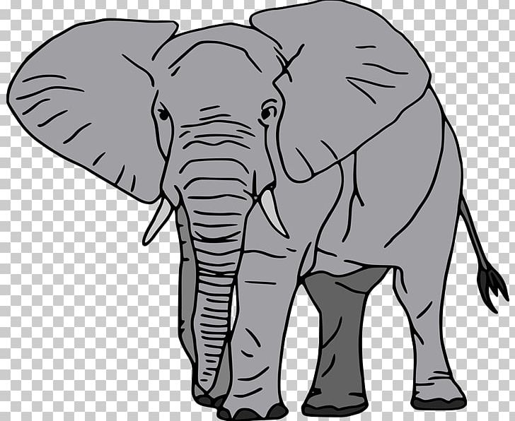 African Elephant Asian Elephant Drawing PNG, Clipart, Animals, Art, Asian Elephant, Black And White, Cattle Like Mammal Free PNG Download