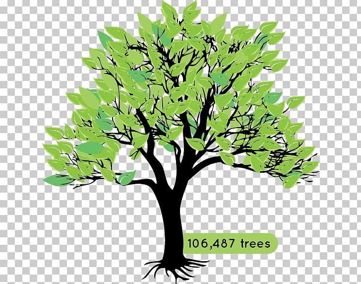 Branch Tree Silhouette PNG, Clipart, Black And White, Branch, Drawing, Flowerpot, Grass Free PNG Download