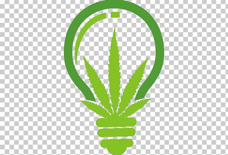 Cannabis Sativa Medical Cannabis Grow Light Tetrahydrocannabinol PNG, Clipart, Cannabidiol, Cannabis, Cannabis Sativa, Cannabis Smoking, Drug Free PNG Download