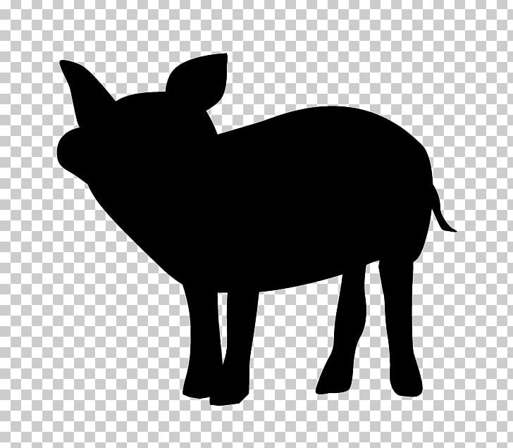 Charolais Cattle Beef Cattle Bull Boer Goat Decal PNG, Clipart, Animals, Anumal, Beef Cattle, Black, Black And White Free PNG Download