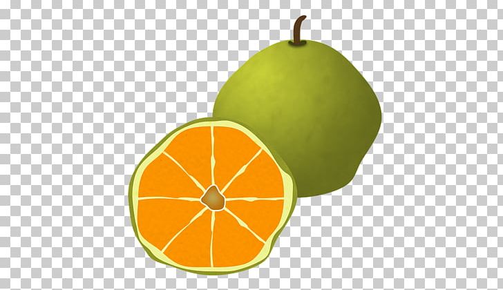 Ugli Fruit Food Grapefruit Orange PNG, Clipart, Apple, Auglis, Citreae, Citric Acid, Citrus Free PNG Download