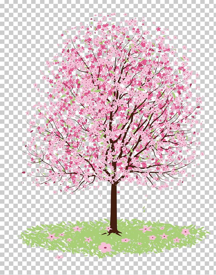 Cherry Blossom Drawing Tree PNG, Clipart, Blooms, Branch, Cherry, Cherry Blossoms, Christmas Tree Free PNG Download