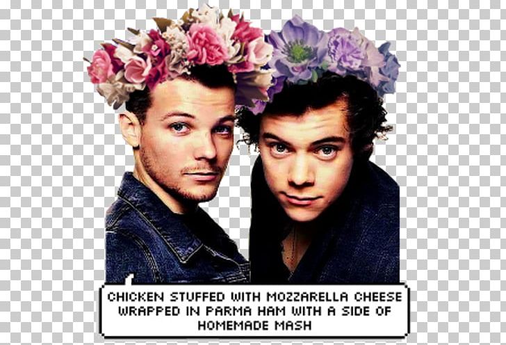 Harry Styles Louis Tomlinson One Direction Bromance Shipping PNG, Clipart, Album Cover, Bromance, Flower Crown, Girlfriend, Hair Accessory Free PNG Download