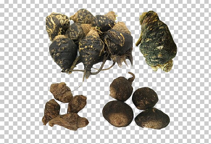 Kuangshanzhen Dietary Supplement Maca Price Plant PNG, Clipart, Black, Black Horse, Chinese Herbs, Crude Drug, Cubeb Free PNG Download