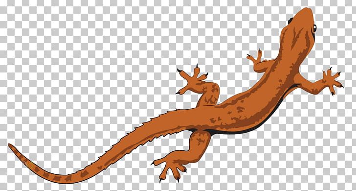 Lizard Salamander Reptile Graphics PNG, Clipart, Animals, Drawing, Encapsulated Postscript, Fauna, Gecko Free PNG Download