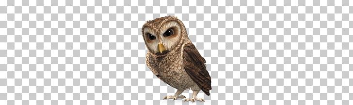 Owls PNG, Clipart, Owls Free PNG Download