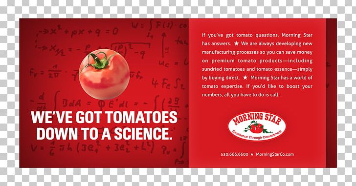 Tomato Morning Star Advertising Flyer Mercy Cancer Center PNG, Clipart, Advertising, Brand, Flyer, Fruit, Greeting Free PNG Download