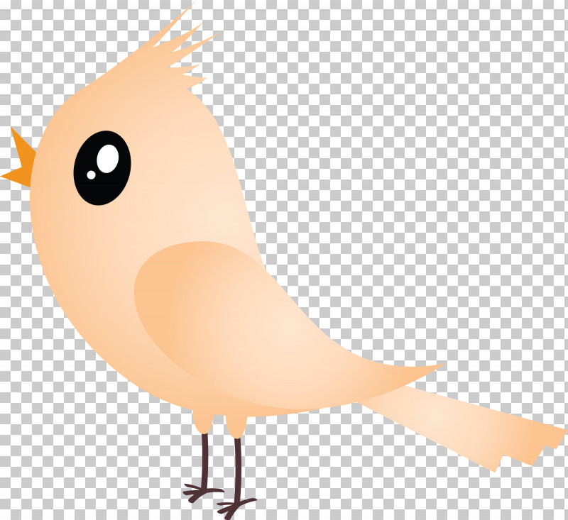 Orange PNG, Clipart, Animation, Beak, Bird, Cartoon, Cartoon Bird Free PNG Download