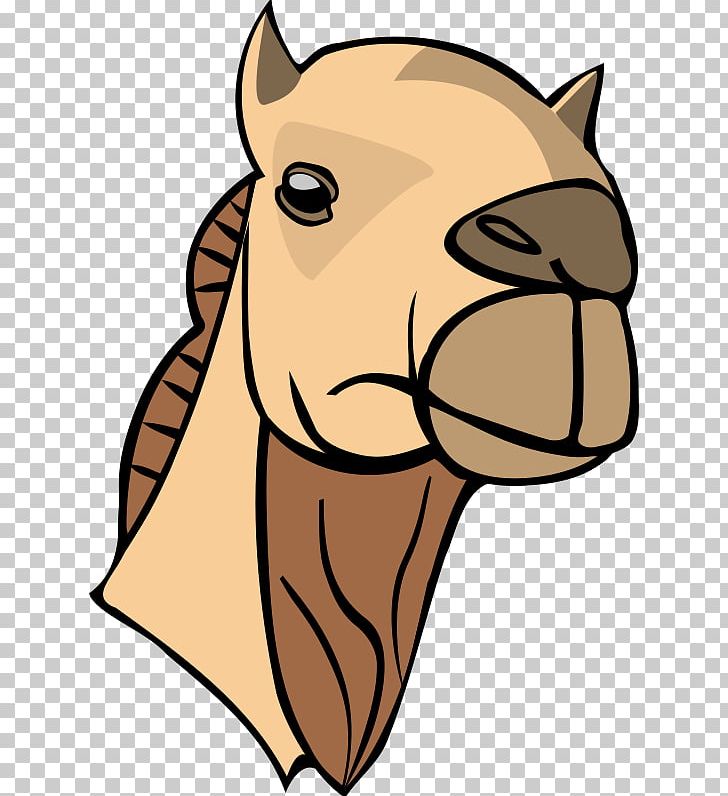 Dromedary Bactrian Camel Camel Face PNG, Clipart, Bactrian Camel, Bridle, Camel, Carnivoran, Cat Like Mammal Free PNG Download