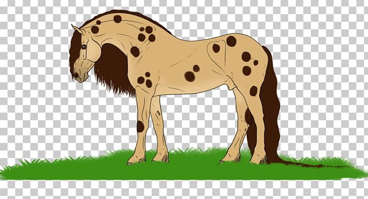Foal Mustang Mare Stallion Colt PNG, Clipart, Animal, Animal Figure, Chocolate Chips, Colt, Fauna Free PNG Download