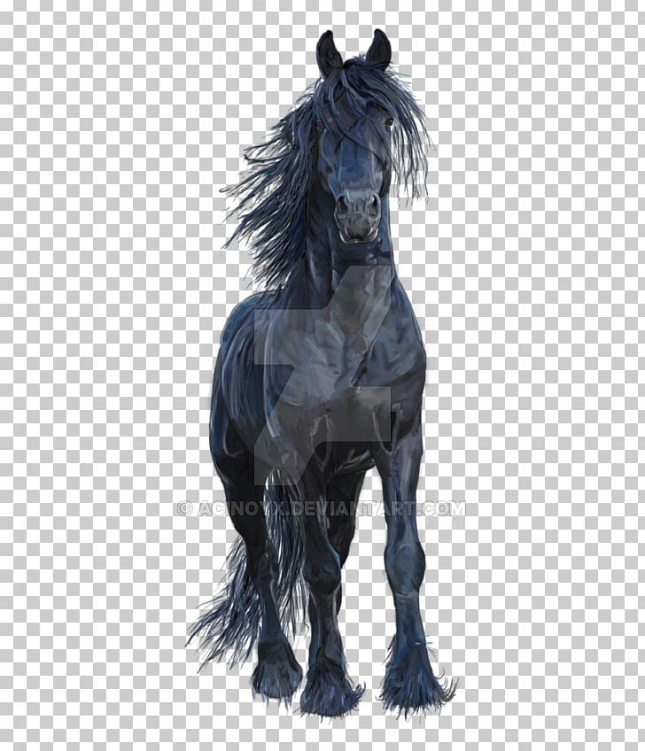 Friesian Horse Stallion Mustang Arabian Horse Pony PNG, Clipart, Animal, Arabian Horse, Friesian Horse, Halter, Horse Free PNG Download