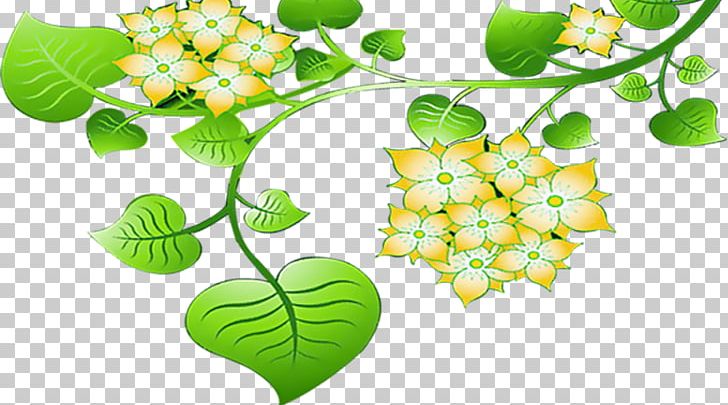 Leaf Fruit Illustration PNG, Clipart, Background Green, Branch, Fall Leaves, Flora, Fruit Free PNG Download