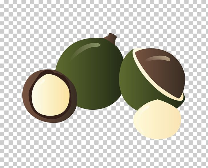 Oil Product Design Fruit Aphid PNG, Clipart, Aphid, Food, Fruit, Macadamia, Oil Free PNG Download