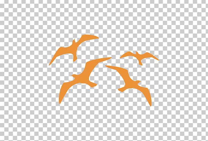 Bird Stencil Gulls Aerography Swallow PNG, Clipart, Aerography, Airbrush, Animal, Animals, Animal Stencil Free PNG Download