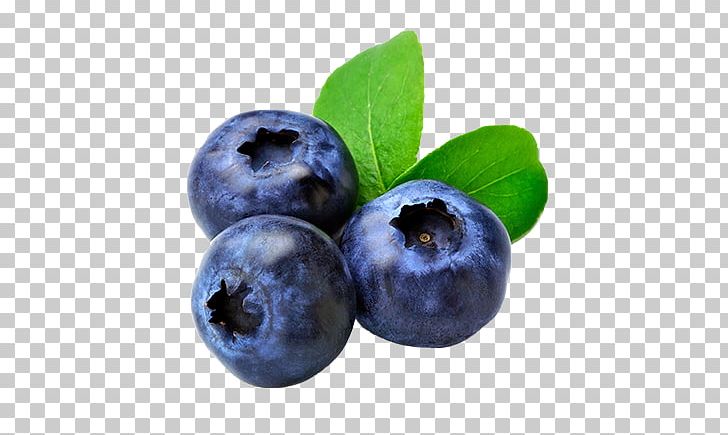 Blueberry Muffin Fruit Food PNG, Clipart, Antioxidant, Berry, Bilberry, Blackberry, Blueberry Extract Free PNG Download