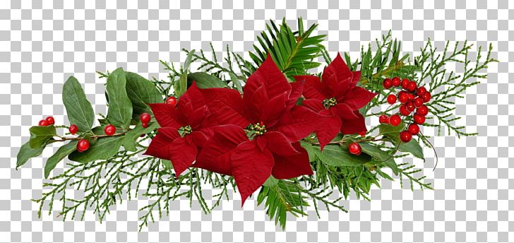 Desktop Photography PNG, Clipart, Blog, Christmas Decoration, Christmas Lights, Christmas Ornament, Cut Flowers Free PNG Download