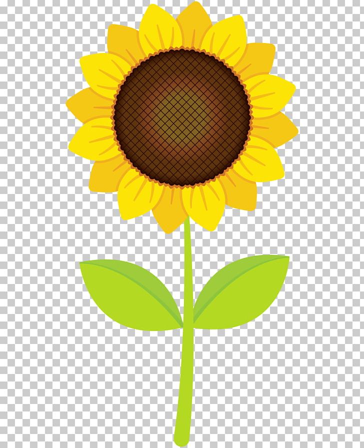 Computer Sunflower Others PNG, Clipart, Art, Asterales, Clip, Clip Art, Common Sunflower Free PNG Download