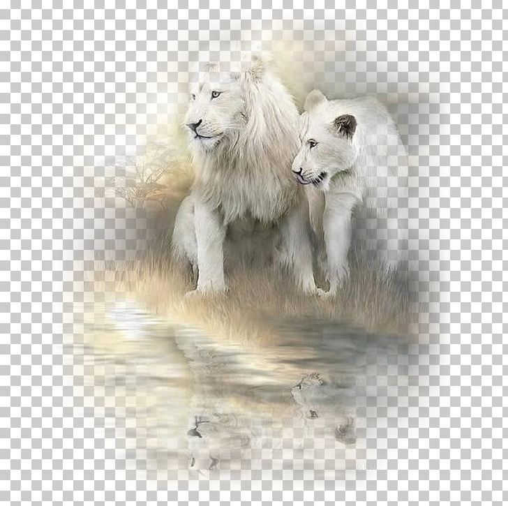 White Lion Painting Cat Art PNG, Clipart, Animal, Animals, Art, Artist, Art Museum Free PNG Download