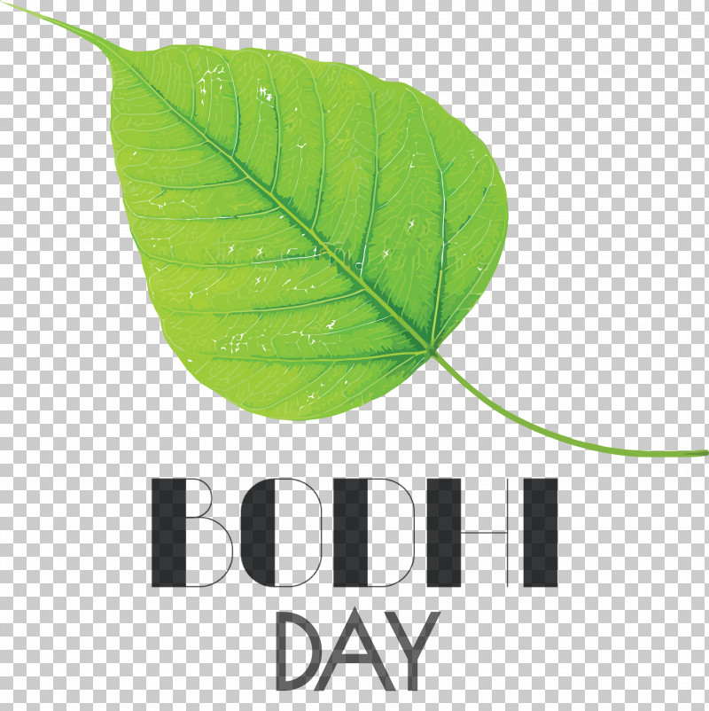 Bodhi Day Bodhi PNG, Clipart, Biology, Bodhi, Bodhi Day, Green, Leaf Free PNG Download