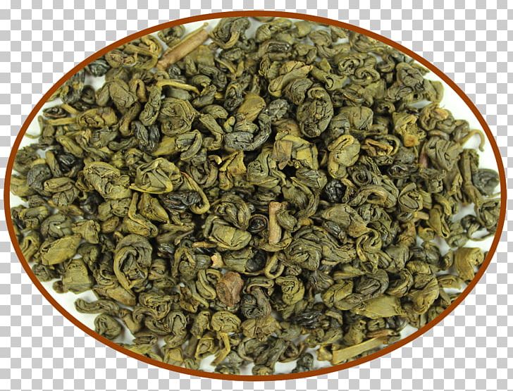 Biluochun Nilgiri Tea Gunpowder Tea Oolong PNG, Clipart, Biluochun, Black Powder, Blog, Chun Mee Tea, Dianhong Free PNG Download