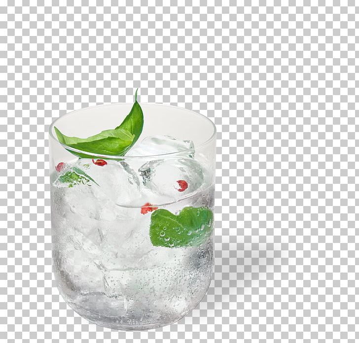 Rickey Gin And Tonic Tonic Water Fizzy Drinks PNG, Clipart, Bacardi, Bacardi Cocktail, Carbonated Water, Cocktail, Cocktail Garnish Free PNG Download