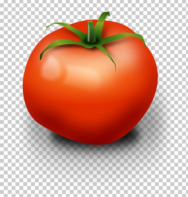 Tomato PNG, Clipart, Apple, Bush Tomato, Computer Icons, Diet Food, Download Free PNG Download
