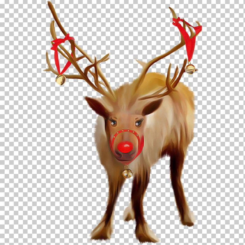Reindeer PNG, Clipart, Antler, Deer, Elk, Fawn, Horn Free PNG Download