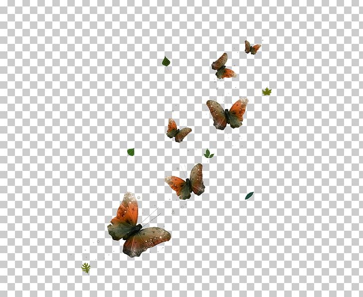 Butterfly Moth Night 27 September PNG, Clipart, 27 September, Butterfly, Fauna, Insect, Invertebrate Free PNG Download