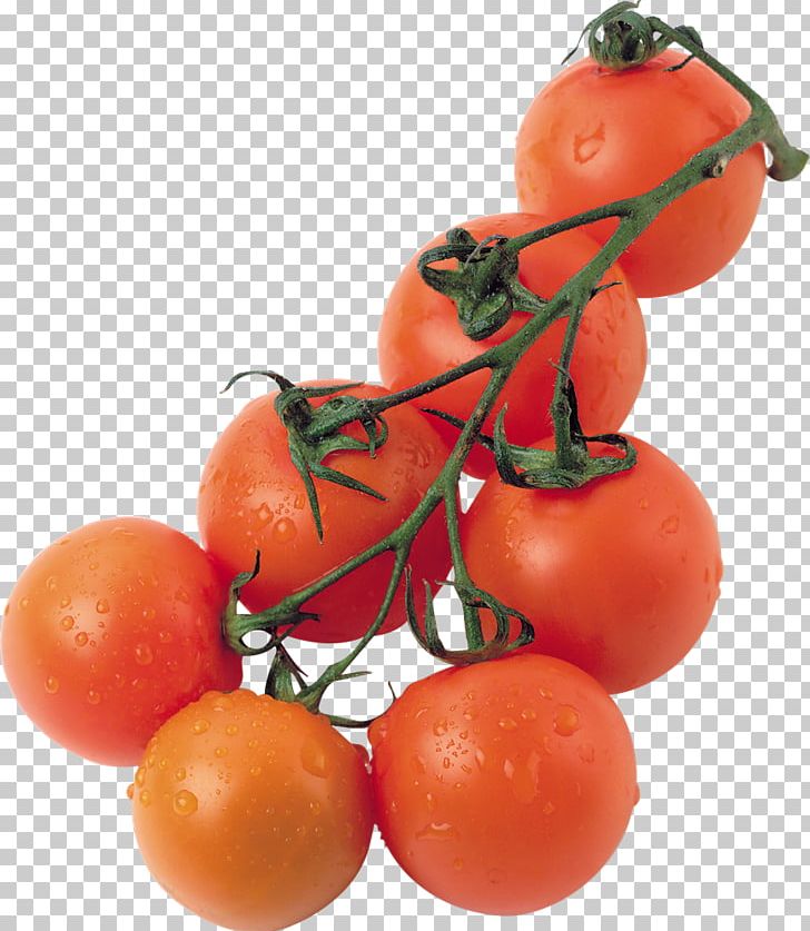 Vegetable Hamburger Cherry Tomato Food PNG, Clipart, Bush Tomato, Cherry Tomato, Clementine, Diet Food, Diospyros Free PNG Download