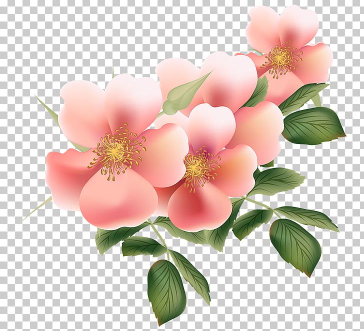 Flower Bouquet Garden Roses PNG, Clipart, 5 De Mayo, Blossom, Blume, Branch, China Rose Free PNG Download