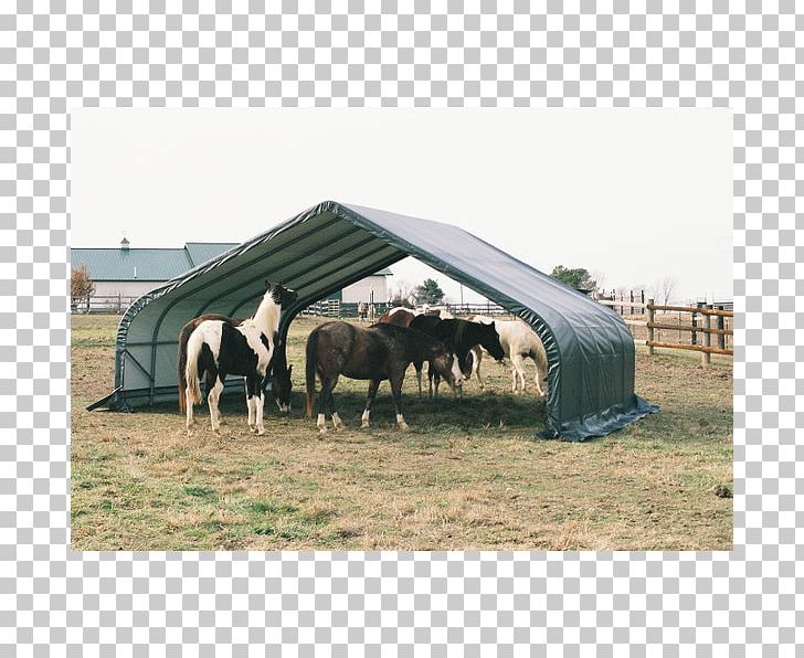 Horse Shed Shelter Garage Canopy Png Clipart Building Canopy