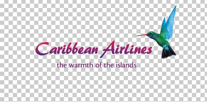 Piarco International Airport Cheddi Jagan International Airport Caribbean Airlines Limited Flight PNG, Clipart, Advertising, Air Jamaica, Airline, Beak, Beat Advertising Free PNG Download