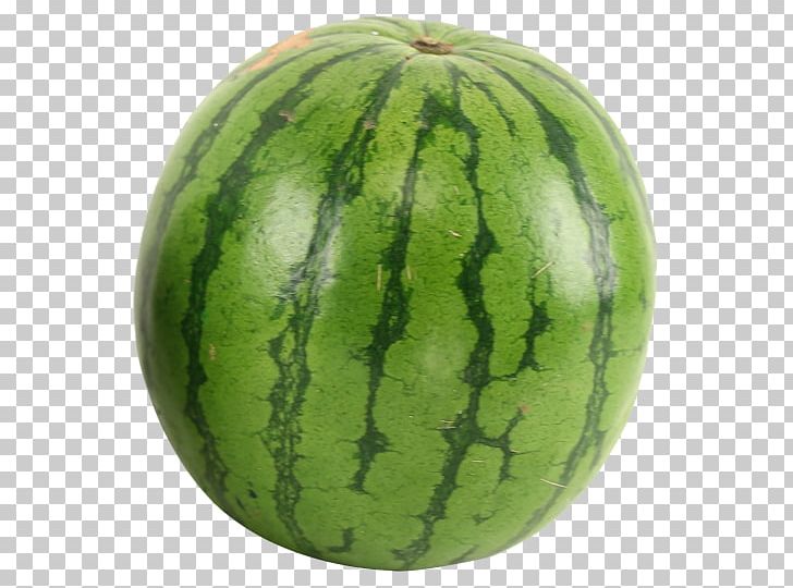 Watermelon Cantaloupe Honeydew PNG, Clipart, Cantaloupe, Citrullus, Cucumber Gourd And Melon Family, Cucumis, Cucurbita Free PNG Download
