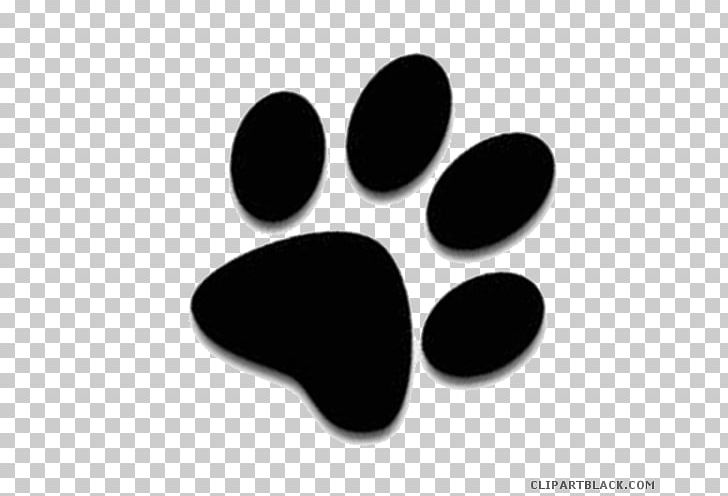 Cat Kitten Dog Paw PNG, Clipart, Animals, Black, Black And White, Black Cat, Cat Free PNG Download