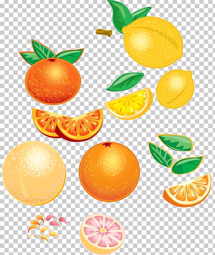 Mandarin Orange Vegetarian Cuisine Tangerine Food PNG, Clipart, Citric Acid, Citrus, Clementine, Diet Food, Food Free PNG Download