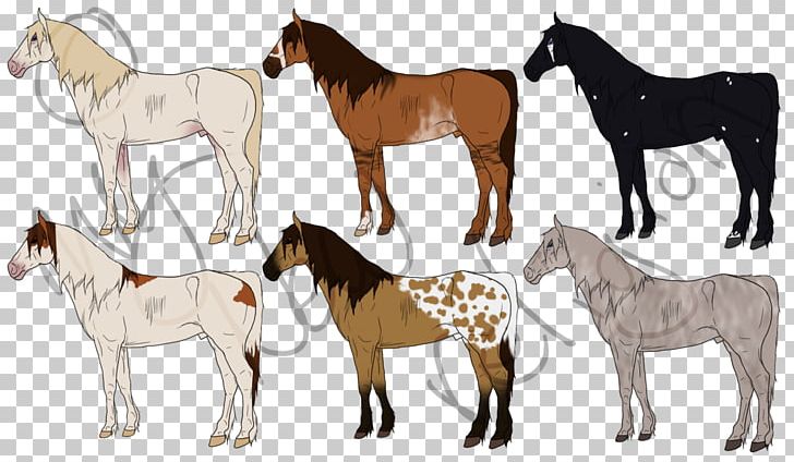 Mustang Foal Stallion Mare Colt PNG, Clipart, Animal Figure, Breed, Bridle, Colt, Drawing Free PNG Download