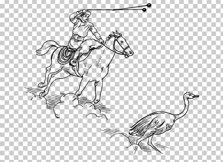 Bolas Weapon Arma De Arremesso Hunting Gaucho PNG, Clipart, Art, Artwork, Beak, Bird, Black And White Free PNG Download