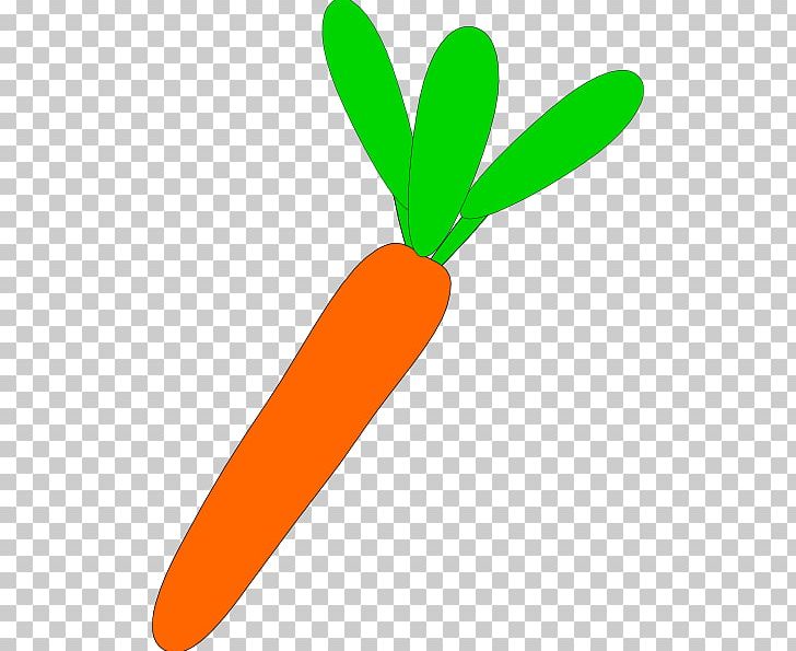 Carrot Vegetable Vegetarian Cuisine PNG, Clipart, Carrot, Cartoon, Daucus Carota, Food, Fruit Free PNG Download