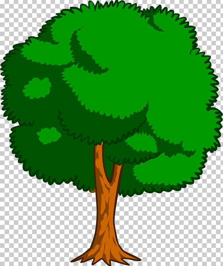 Drawing Trees Cartoon PNG, Clipart, Branch, Cartoon, Cartoon Tree, Color, Colored Pencil Free PNG Download