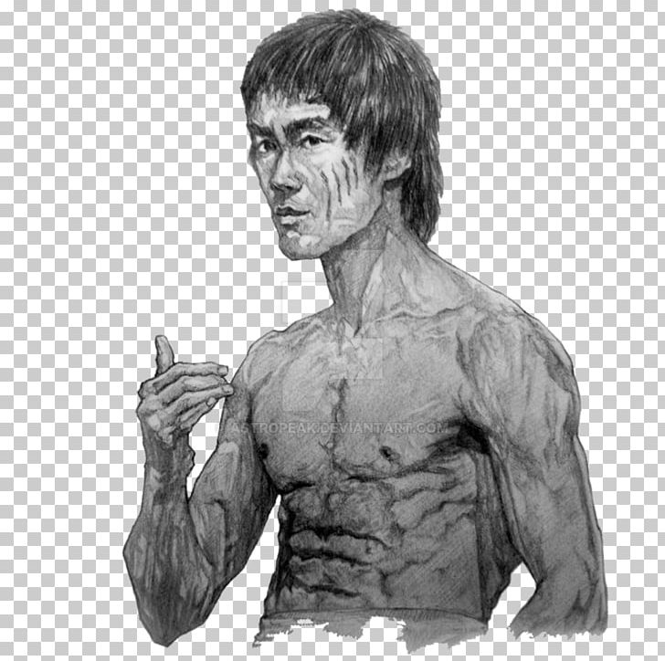 Bruce Lee Work Of Art Drawing Photography PNG, Clipart, Arm, Art, Artist, Artwork, Black And White Free PNG Download