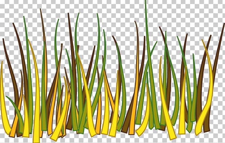 Grasses Drawing PNG, Clipart, Border, Clip Art, Commodity, Drawing, Grass Free PNG Download