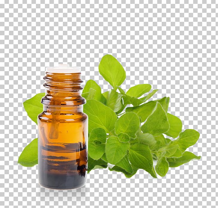 Herb Essential Oil Oregano Aromatherapy PNG, Clipart, Alembic, Aromatherapy, Bottle, Cosmetics, Essential Oil Free PNG Download
