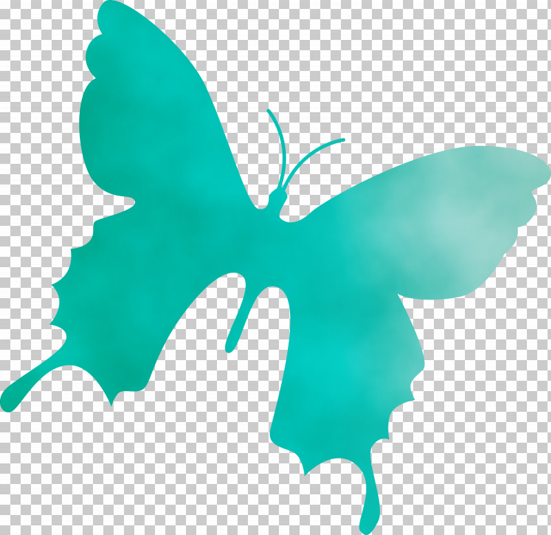 Leaf Turquoise Plants Plant Structure Biology PNG, Clipart, Biology, Butterfly Background, Flying Butterfly, Leaf, Paint Free PNG Download