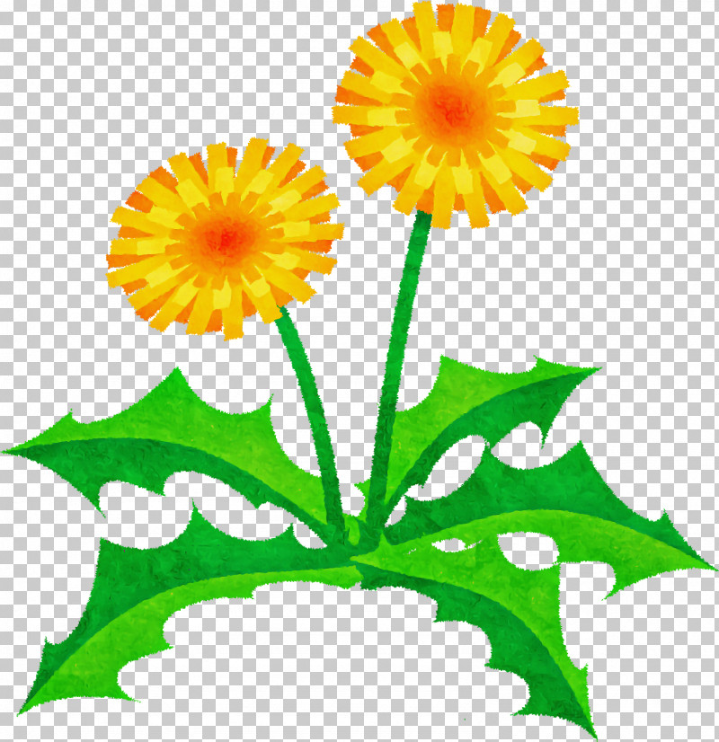 Floral Design PNG, Clipart, Carnation, Chrysanthemum, Cut Flowers, Floral Design, Floristry Free PNG Download