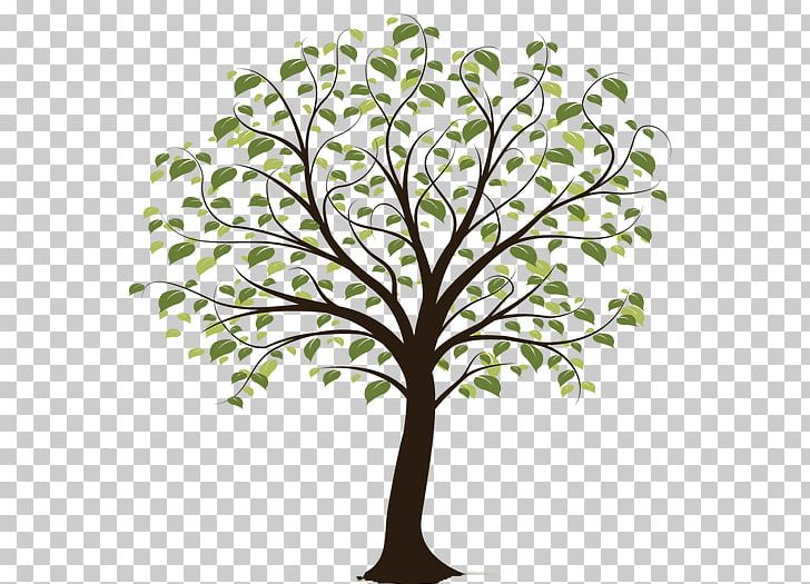 Tree PNG, Clipart, Blossom, Branch, Document, Family Tree, Flora Free PNG Download
