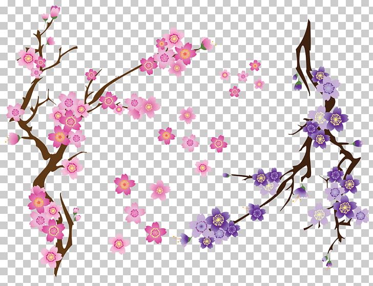 Cherry Blossom Drawing PNG, Clipart, Blossom, Blossoms, Blossoms Vector, Branch, Cherry Free PNG Download