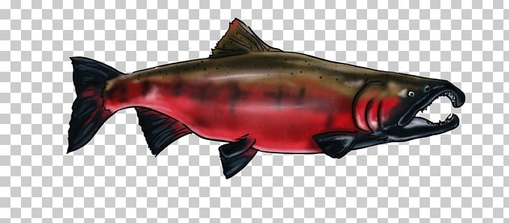 Coho Salmon 09777 Squaliform Sharks Animal PNG, Clipart, 09777, Animal, Animal Figure, Bony Fish, Coho Free PNG Download