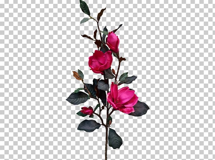 Cut Flowers Garden Roses Bud PNG, Clipart, Artificial Flower, Blossom, Branch, Bud, Cut Flowers Free PNG Download